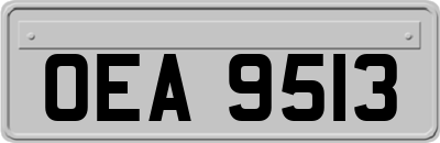 OEA9513