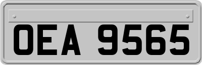 OEA9565