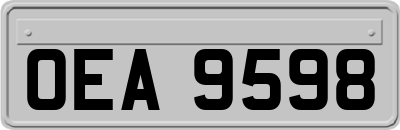 OEA9598