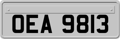 OEA9813
