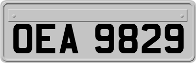 OEA9829