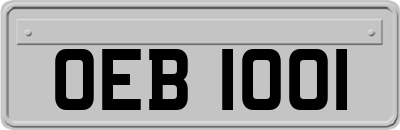 OEB1001