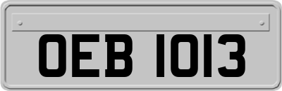 OEB1013
