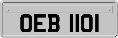 OEB1101