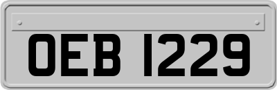 OEB1229