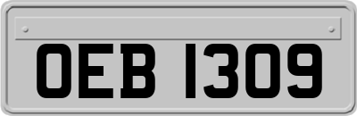 OEB1309