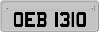 OEB1310