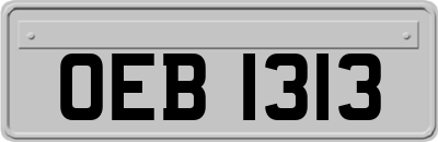 OEB1313