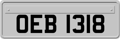 OEB1318