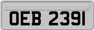 OEB2391