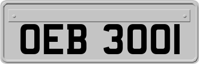 OEB3001