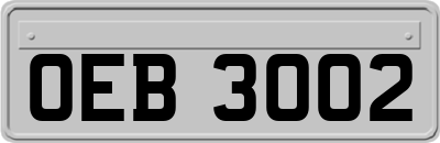 OEB3002