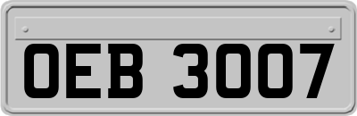 OEB3007