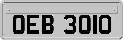 OEB3010