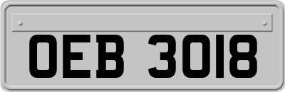 OEB3018