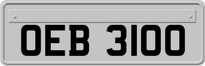 OEB3100