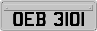OEB3101