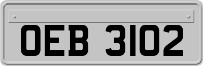 OEB3102