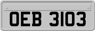 OEB3103