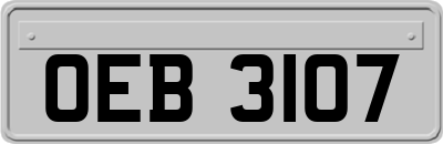 OEB3107