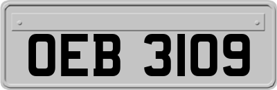 OEB3109