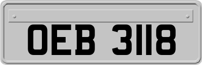 OEB3118