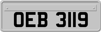 OEB3119
