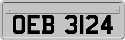 OEB3124