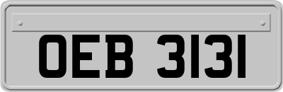 OEB3131