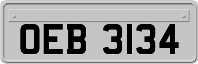 OEB3134