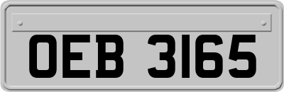 OEB3165