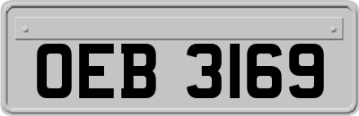 OEB3169