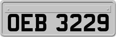 OEB3229