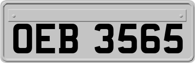 OEB3565