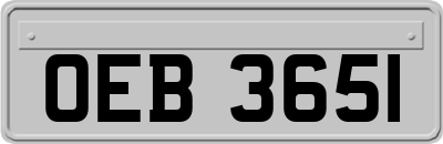 OEB3651