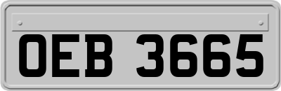 OEB3665