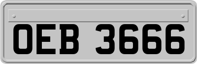 OEB3666