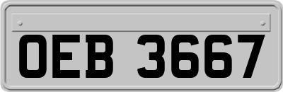 OEB3667