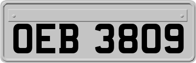 OEB3809