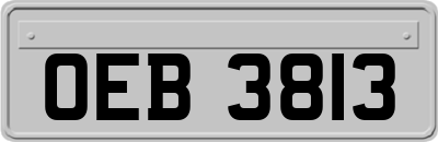 OEB3813