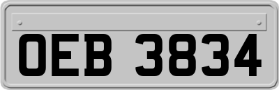 OEB3834