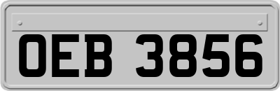 OEB3856