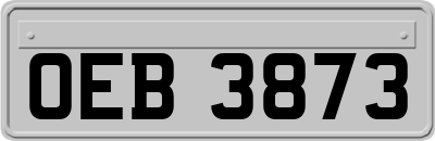 OEB3873