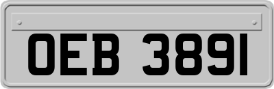 OEB3891
