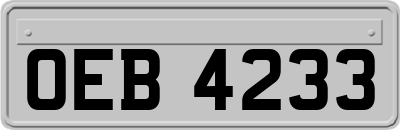 OEB4233