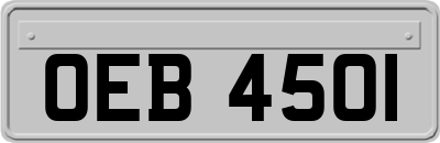 OEB4501