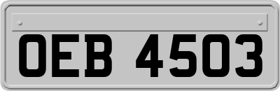 OEB4503