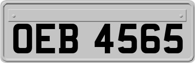 OEB4565