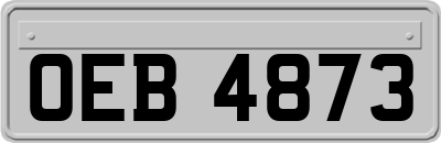 OEB4873