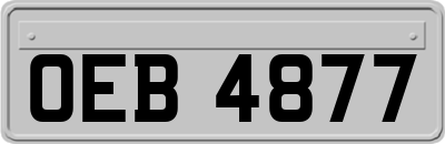 OEB4877